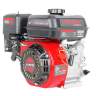 Двигатель VERTON GARDEN BS-168F/19D (196 см3,4.8кВт/6.5л.с,Ø вала 19мм (шпонка), 13,2/3600 Н*м/(об/мин), V 3.6 л., ручн. зап., выкл., распредвал сталь, автопрерыватель с датчиком уровня масла, крышка бака винт, фильтр комбин. (бумага+паралон), прорез Двигатель VERTON GARDEN BS-168F/19D (196 см3,4.8кВт/6.5л.с,Ø вала 19мм (шпонка), 13,2/3600 Н*м/(об/мин), V 3.6 л., ручн. зап., выкл., распредвал сталь, автопрерыватель с датчиком уровня масла, крышка бака винт, фильтр комбин. (бумага+паралон), прорез - Двигатель VERTON GARDEN BS-168F/19D (196 см3,4.8кВт/6.5л.с,Ø вала 19мм (шпонка), 13,2/3600 Н*м/(об/мин), V 3.6 л., ручн. зап., выкл., распредвал сталь, автопрерыватель с датчиком уровня масла, крышка бака винт, фильтр комбин. (бумага+паралон), прорез