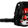 Воздуходувка ранцевая бензиновая VERTON BW80M_PRO (80см3,3,8кВт/5,17л.с,скор.120м/сек,1700м3/ч,бак 2,2л.) Воздуходувка ранцевая бензиновая VERTON BW80M_PRO (80см3,3,8кВт/5,17л.с,скор.120м/сек,1700м3/ч,бак 2,2л.) - Воздуходувка ранцевая бензиновая VERTON BW80M_PRO (80см3,3,8кВт/5,17л.с,скор.120м/сек,1700м3/ч,бак 2,2л.)